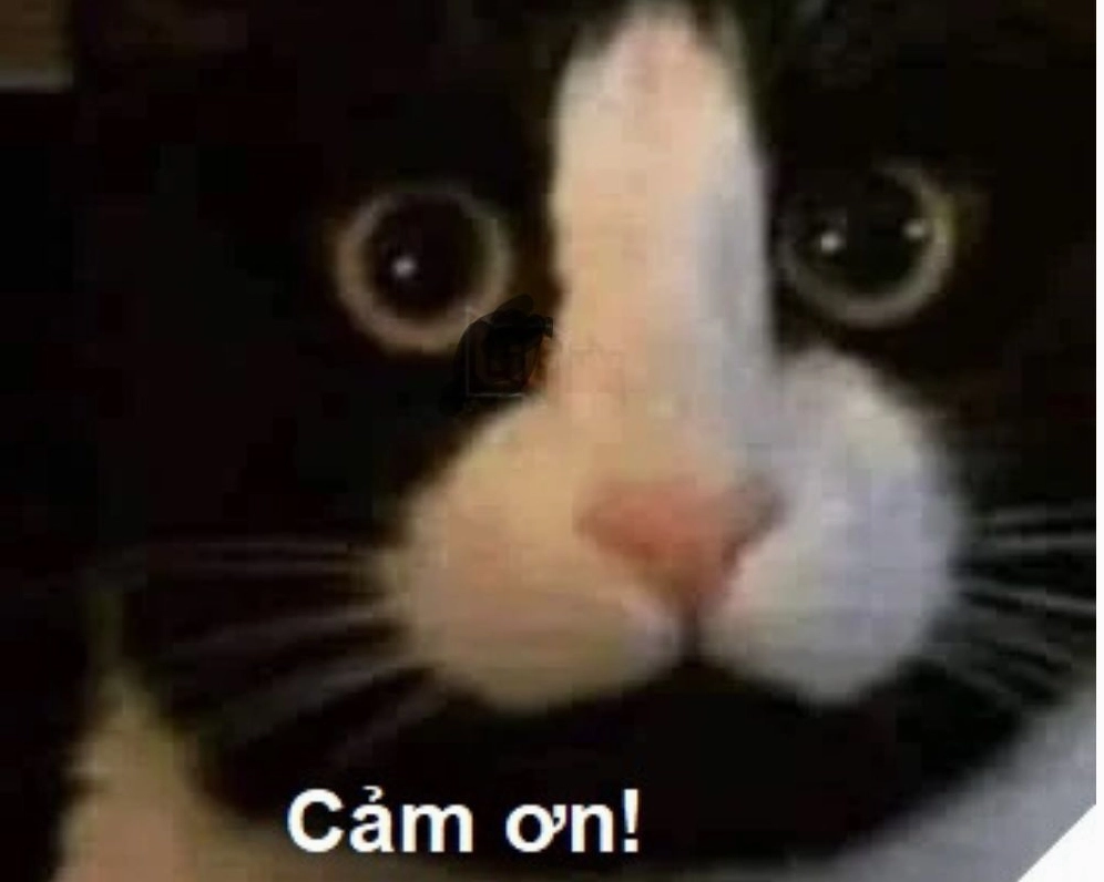 Meme cảm ơn đứa mình ghét cực kỳ thâm thúy