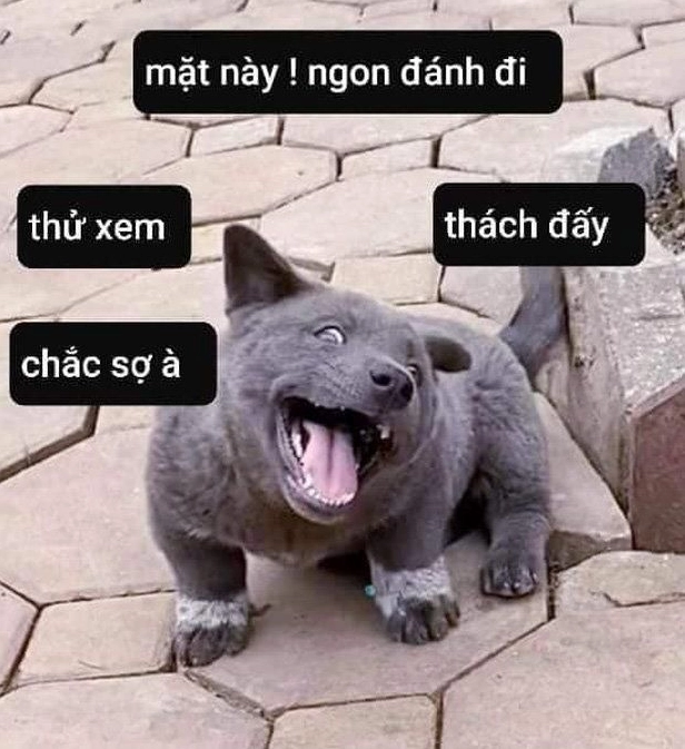 Meme cảnh hai người đang gồng mình thi gan cùng những dòng chữ khịa móc