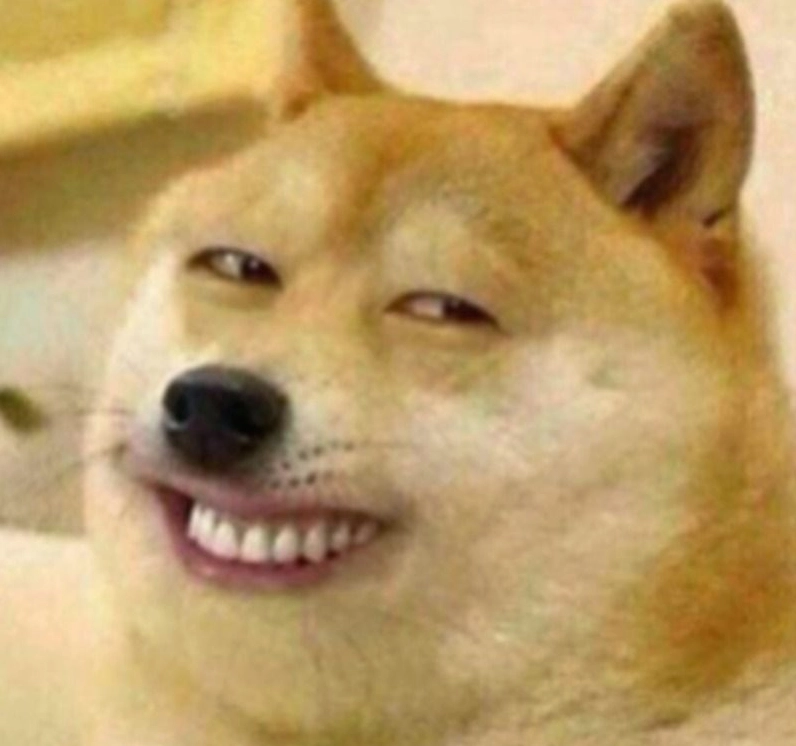 Meme chó con đang nhăn nhó cực bựa