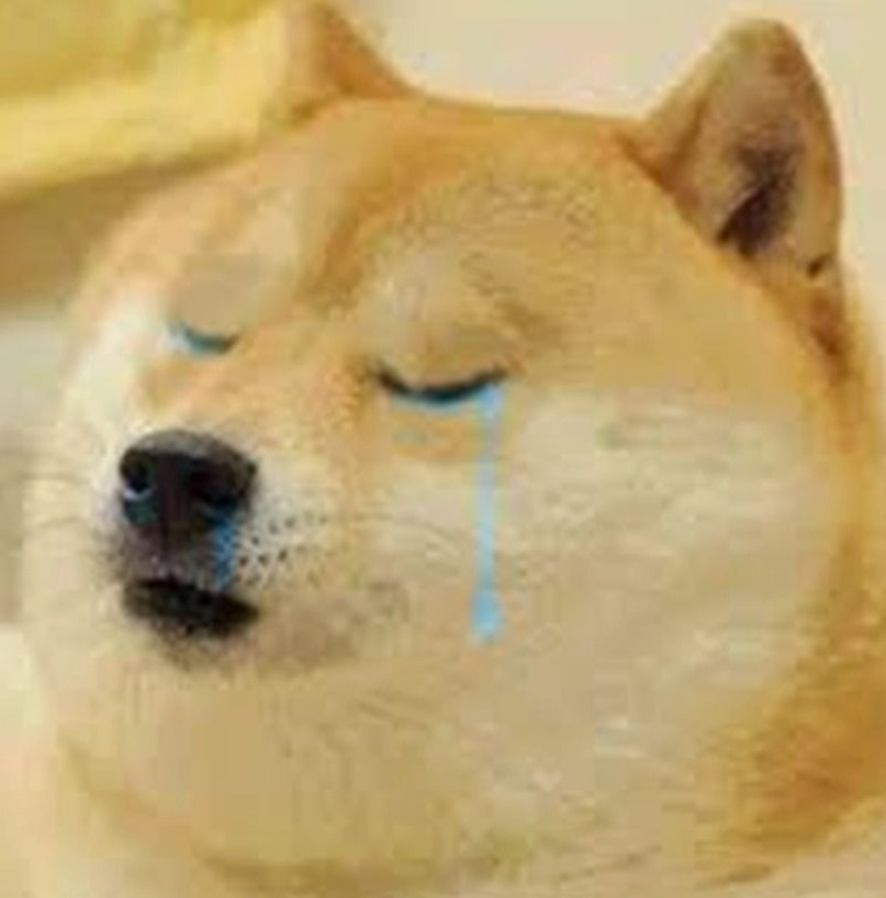 Meme chó khóc thét sưng cả mắt