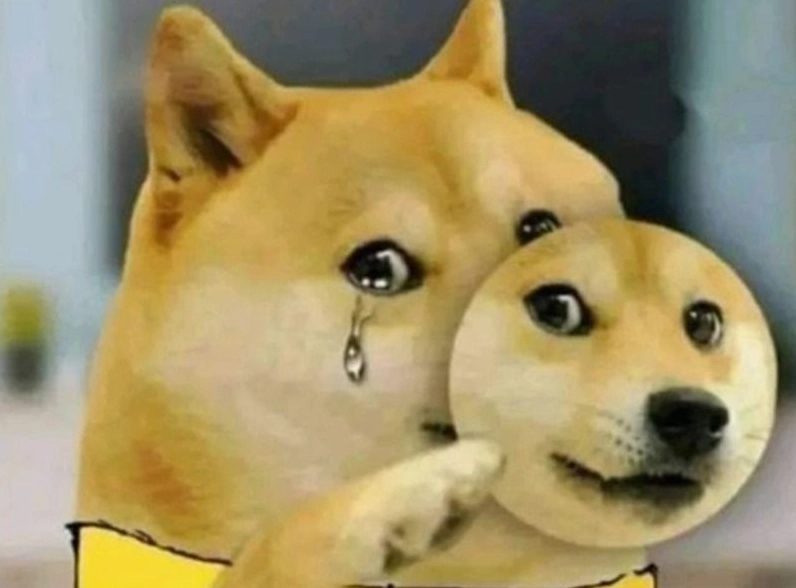 Meme chó lườm nguýt bá đạo