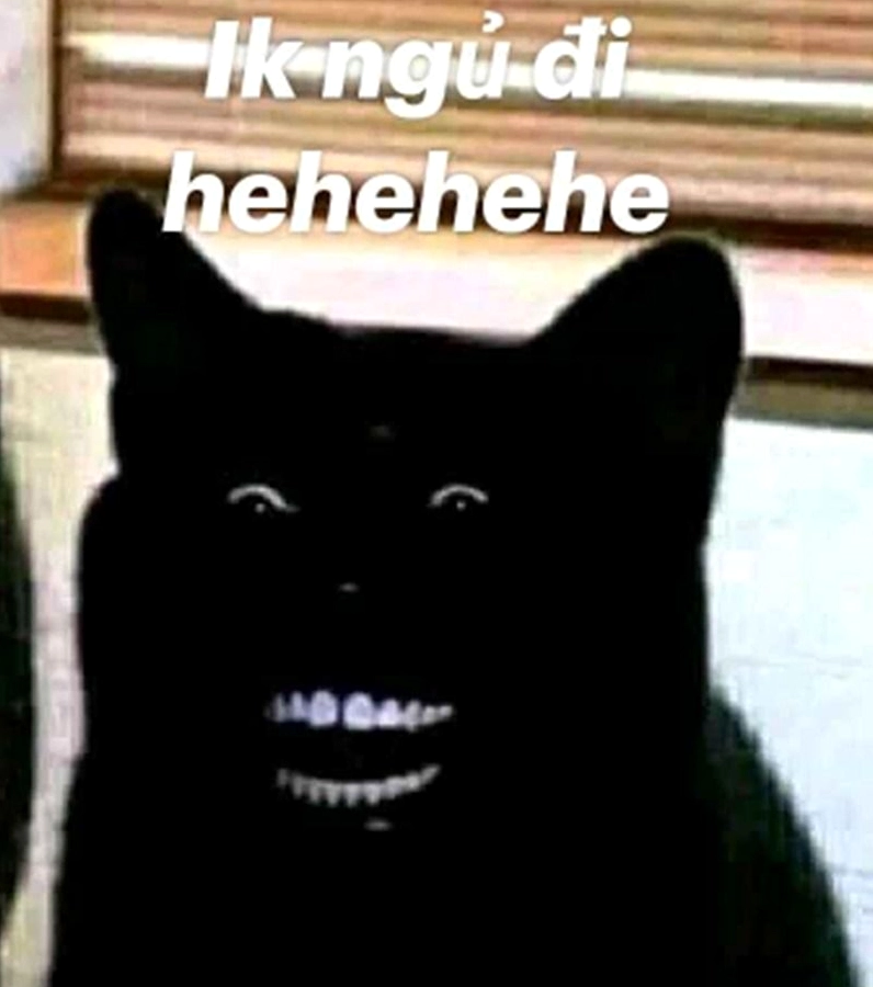 Meme chúc ngủ ngon hài hước biểu cảm ngái ngủ