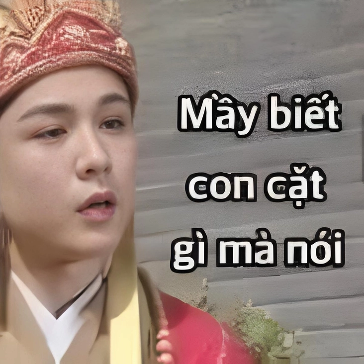 meme chửi bá đạo
