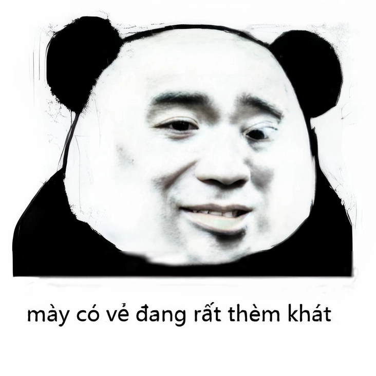 meme chửi chó