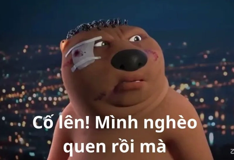 Meme con hải ly Trung Quốc cổ vũ cố lên vượt qua sự nghèo