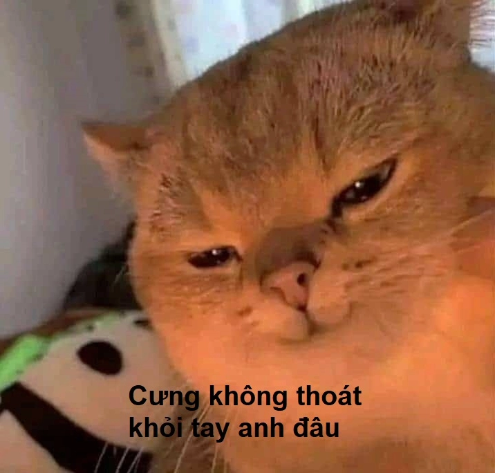 Meme cười bỉ ổi vô liêm sỉ