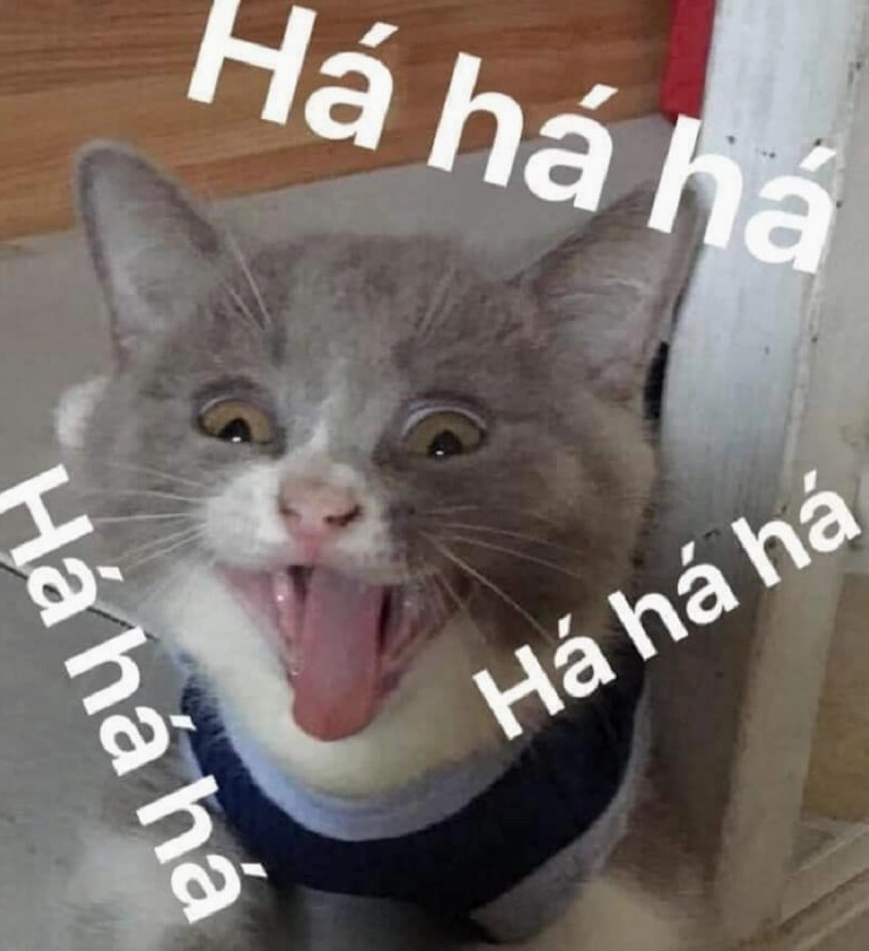 Meme cười đau bụng khó đỡ