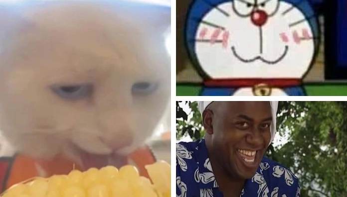 Meme cười gian cực mạnh