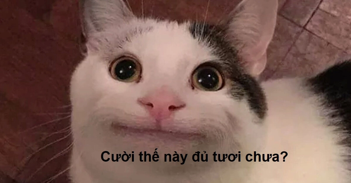 Meme cười gượng ép