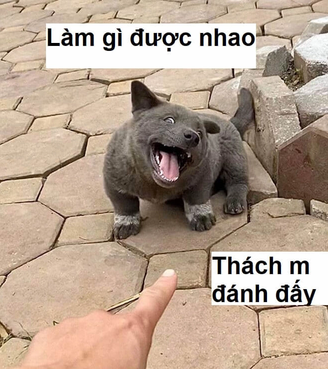 Meme cười nhây vô đối