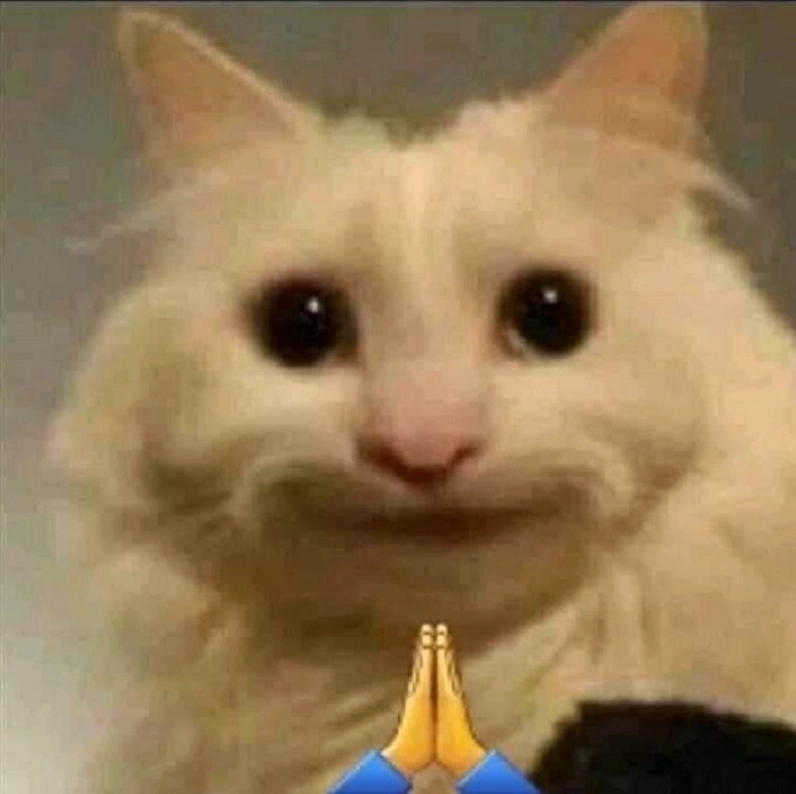 Meme cười tịnh tâm đối mặt sóng gió