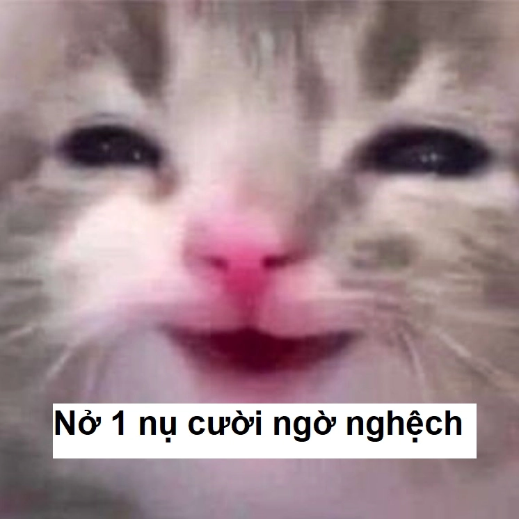 Meme cười vô tri đáng yêu