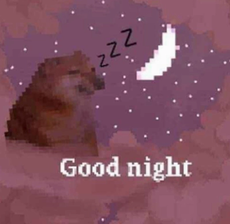 Meme dễ thương chúc ngủ ngon từ mèo