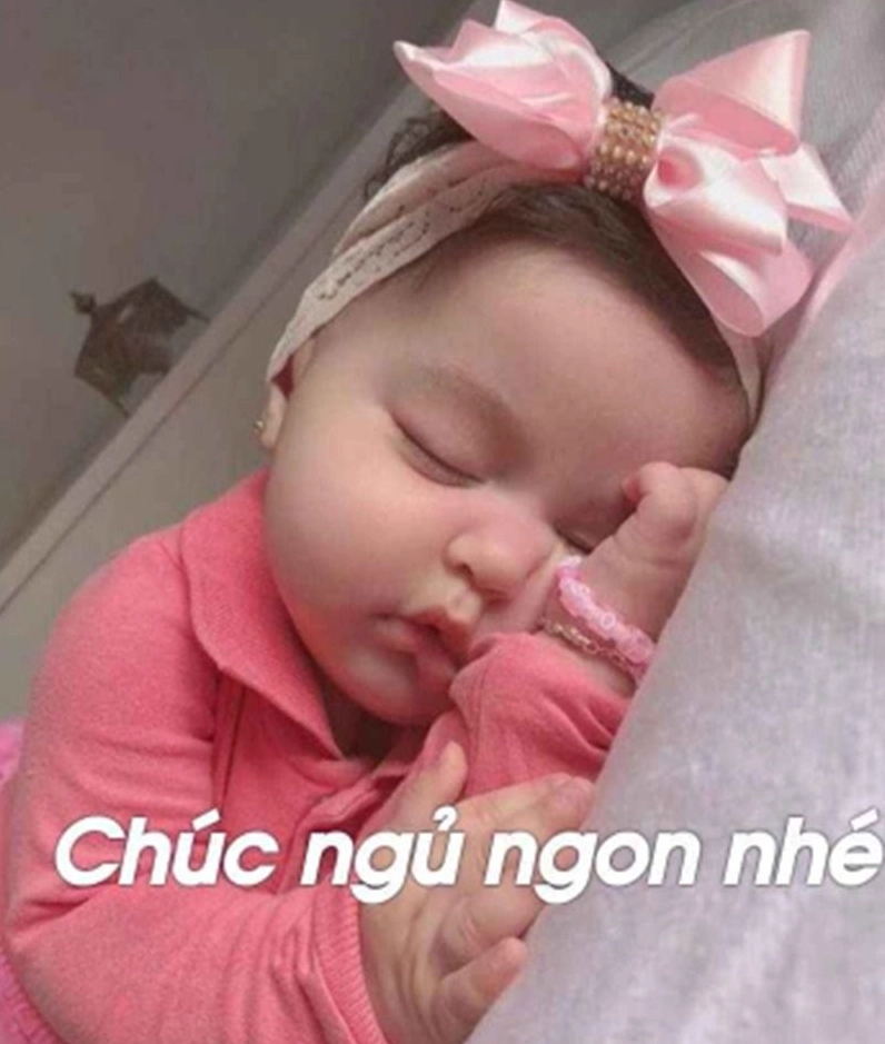 Meme dễ thương đắp chăn