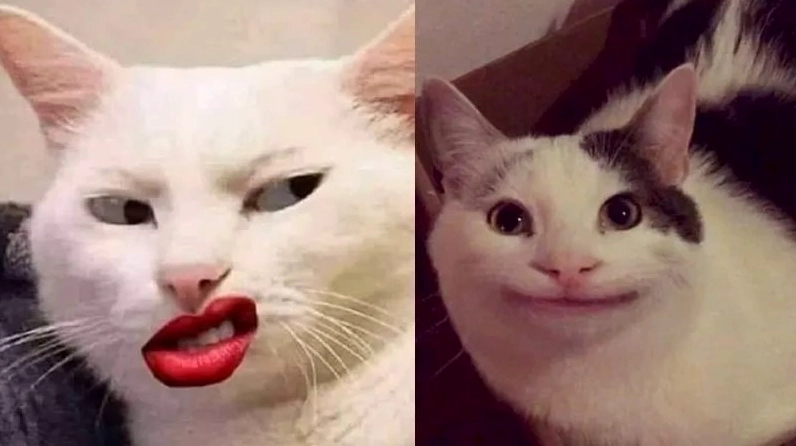 meme dễ thương nụ cười đểu bựa