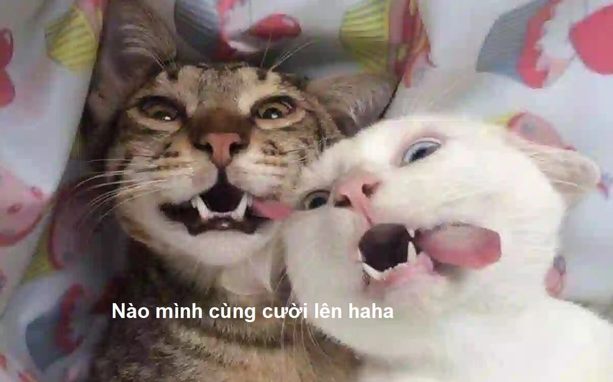 Meme đôi bạn cùng cười phá lên