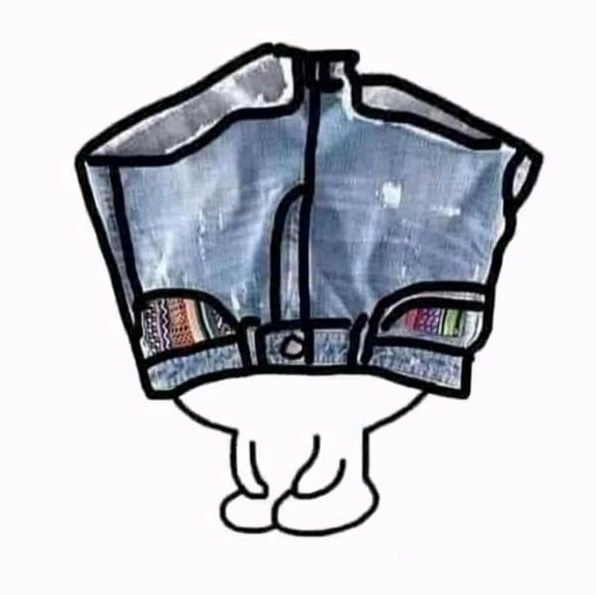 meme đội quần cực kỳ biểu cảm của loài vật nuôi trong nhà