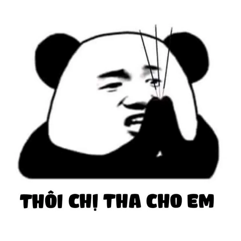 Meme gấu trúc xin lỗi – đáng yêu đến không thể giận