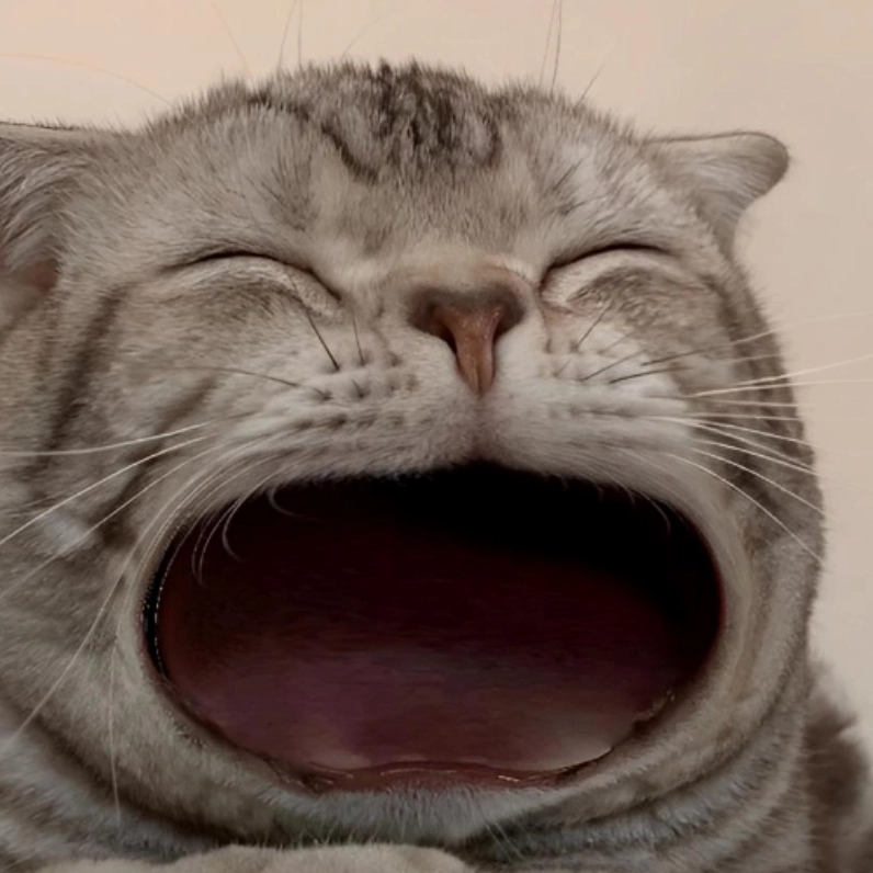 Meme há miệng cực kỳ hài hước và bất ngờ xem ngay để không bỏ lỡ