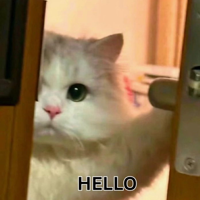 Meme hello cực đáng yêu không thể chối từ