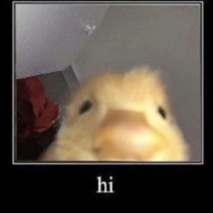 Meme hello cực dễ thương rụng rời