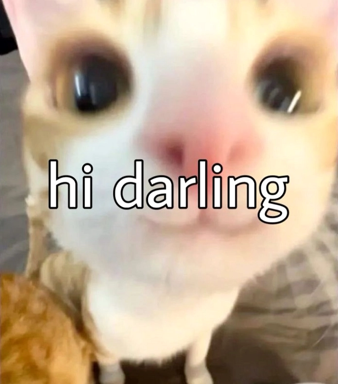 Meme hello cực hài khiến ai cũng bật cười