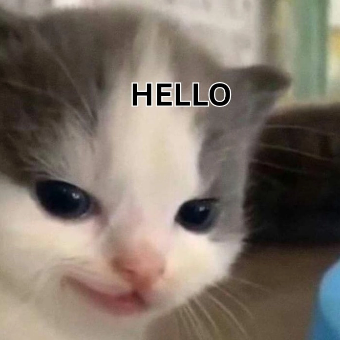 Meme hello cute hạt me