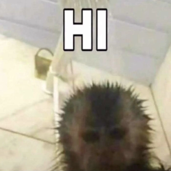 Meme hello cuti quá mức quy định