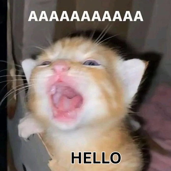 Meme hello đáng yêu muốn xỉu