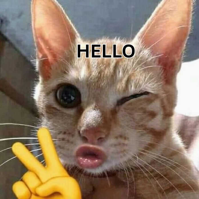 Meme hello dễ thương nhất quả đất