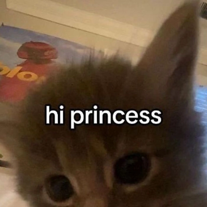 Meme hello dễ thương phô mai que