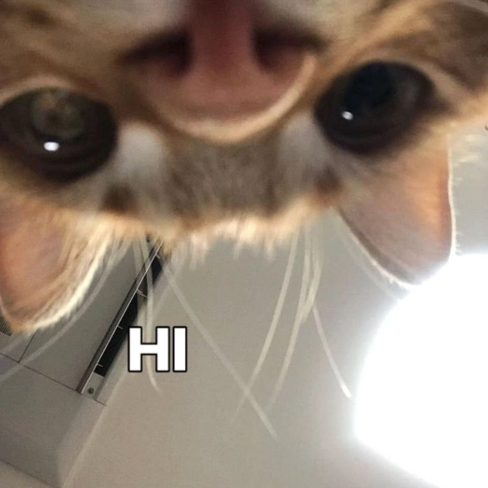 Meme hello hài hước lan tỏa năng lượng