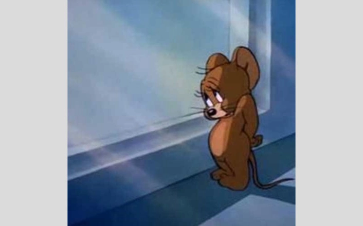 Meme Jerry ngượng ngùng