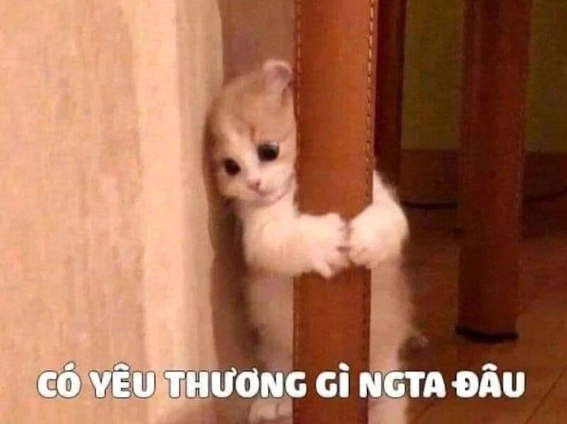 meme khi nào dùng