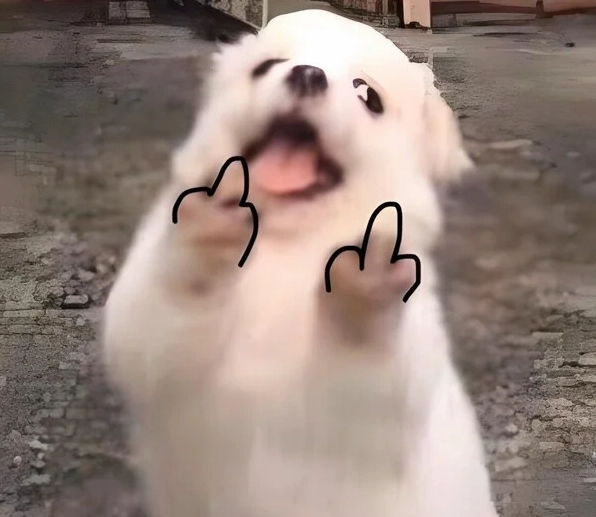 meme mặt khinh bỉ cực gắt