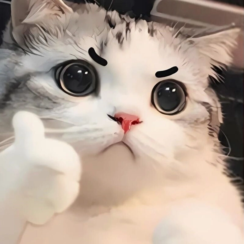 Meme mèo cười chỉ tay điệu đà