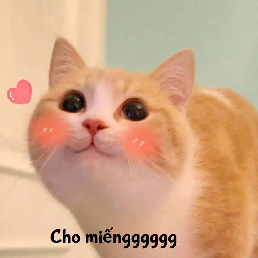Meme mèo cười cute nhưng thâm hiểm
