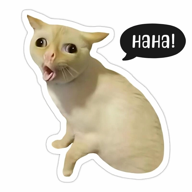 Meme mèo cười haha toét miệng