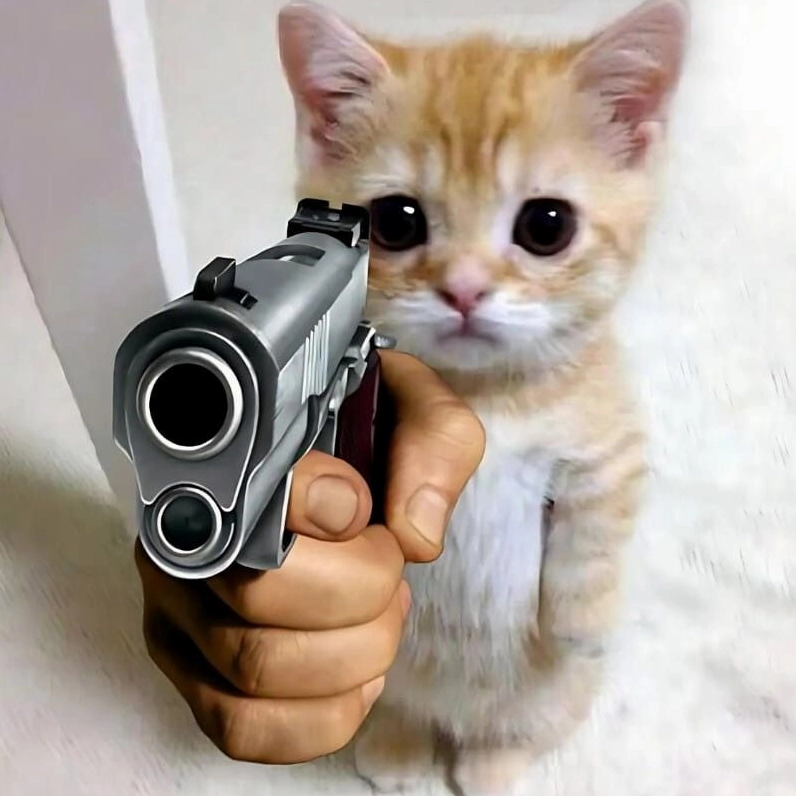 Meme mèo cười nhạo báng chỉ tay