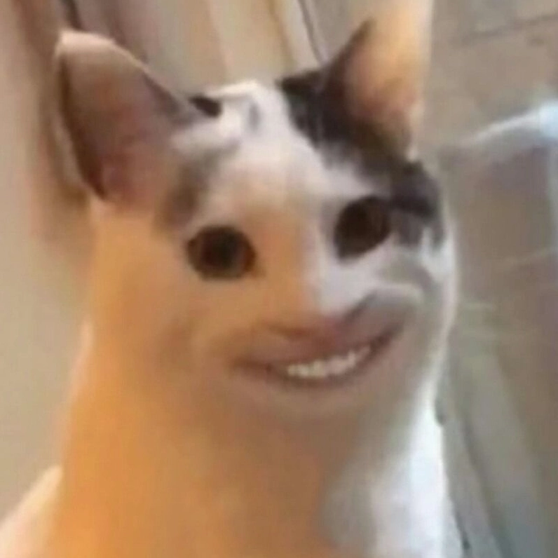 Meme mèo cười nhếch mép kiêu ngạo