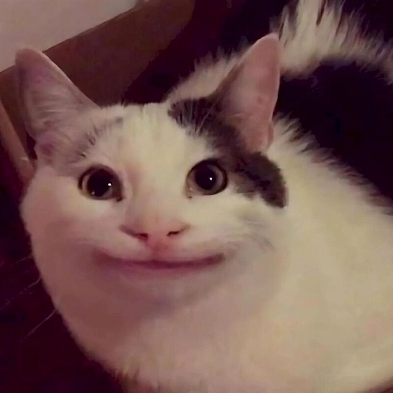 Meme mèo cười nhếch mép phán xét