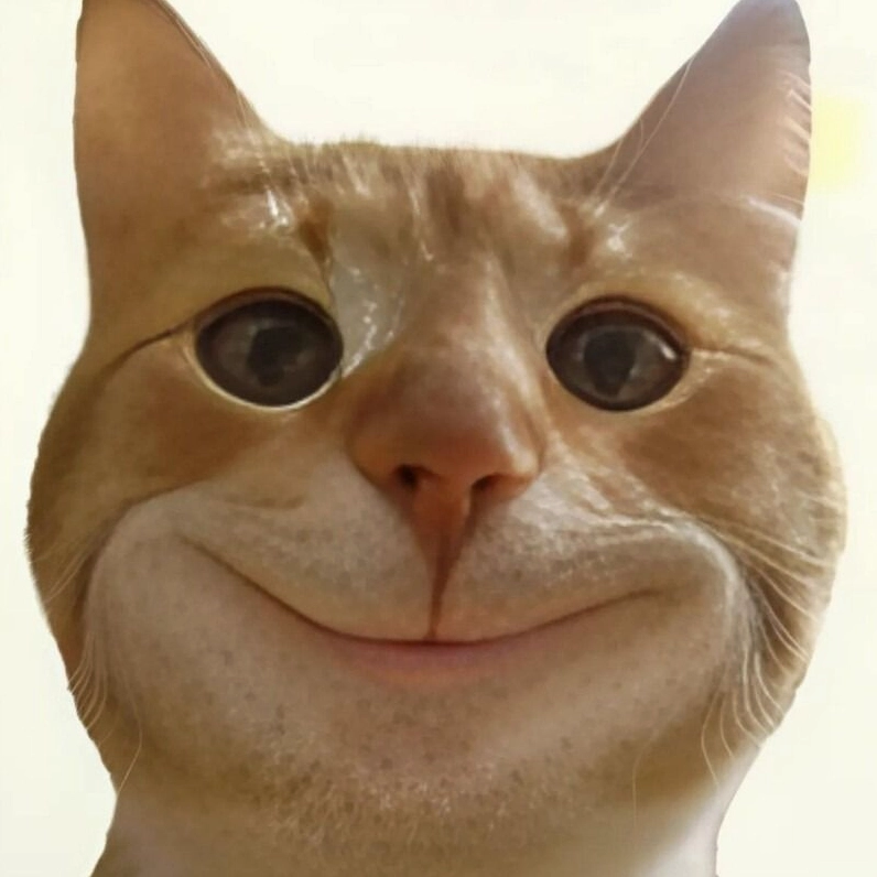 Meme mèo nhếch mép cười đầy thách thức