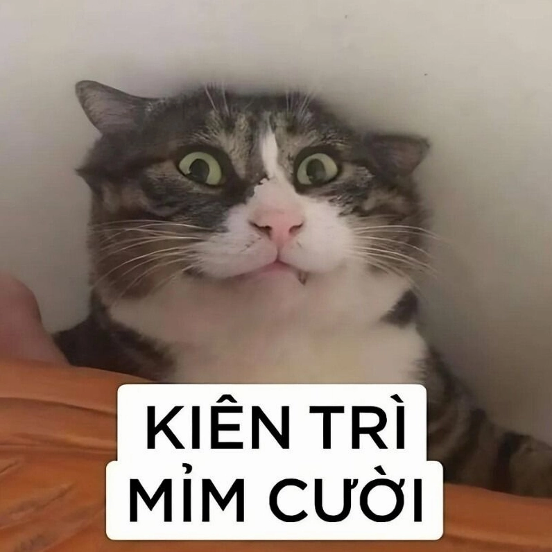Meme mèo nhếch mép cười khinh bỉ