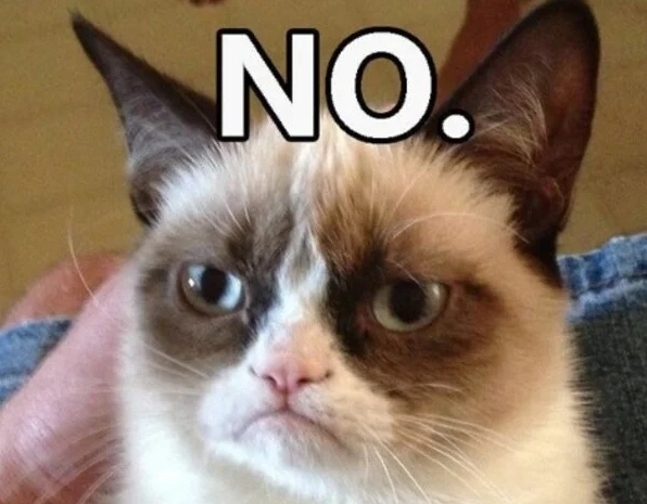 Meme mèo từ chối vô cùng dễ thương nhưng thái độ lồi lõm