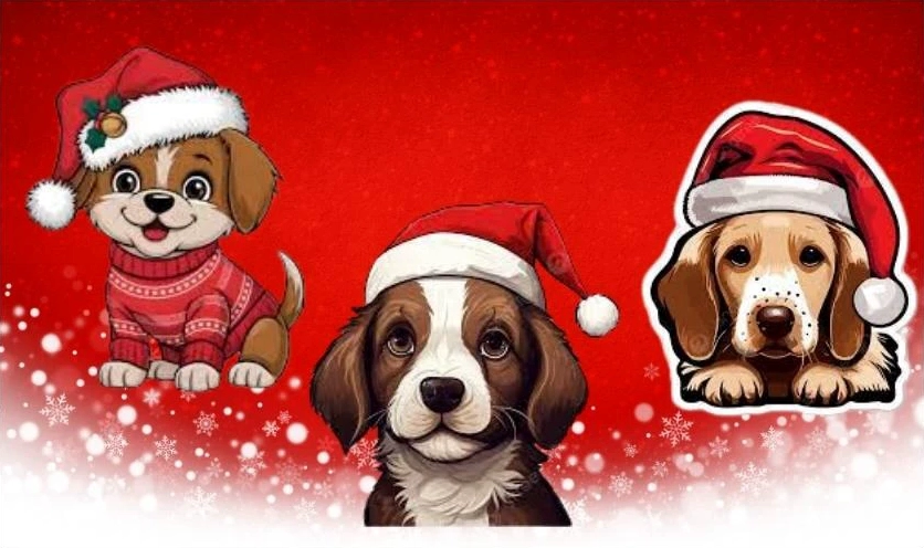 meme noel hình chó độc lạ ngáo ngơ