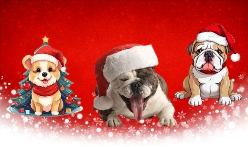 meme noel hình chó vui vẻ tung tăng