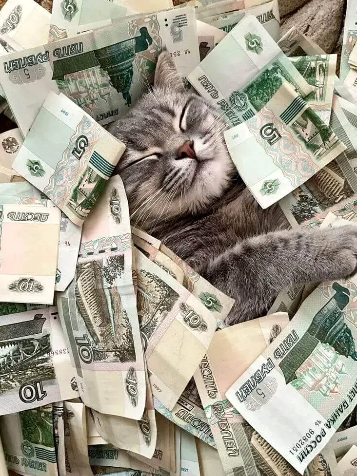 Meme ôm cả bao tải tiền cười khoái chí