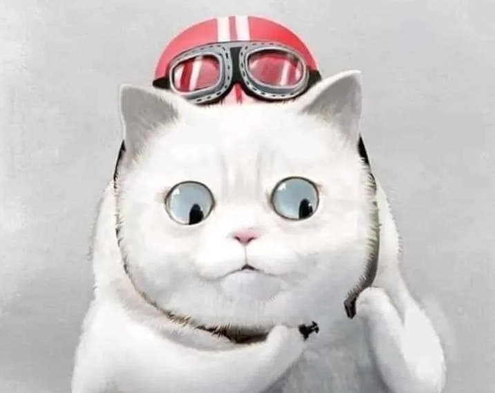 Meme quầng thâm mắt trở thành nguồn cảm hứng khiến bạn không thể nhịn cười