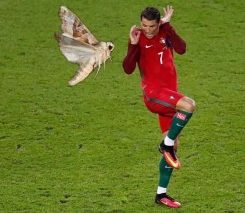 Meme ronaldo siu mang dấu ấn độc quyền từ Ronaldo