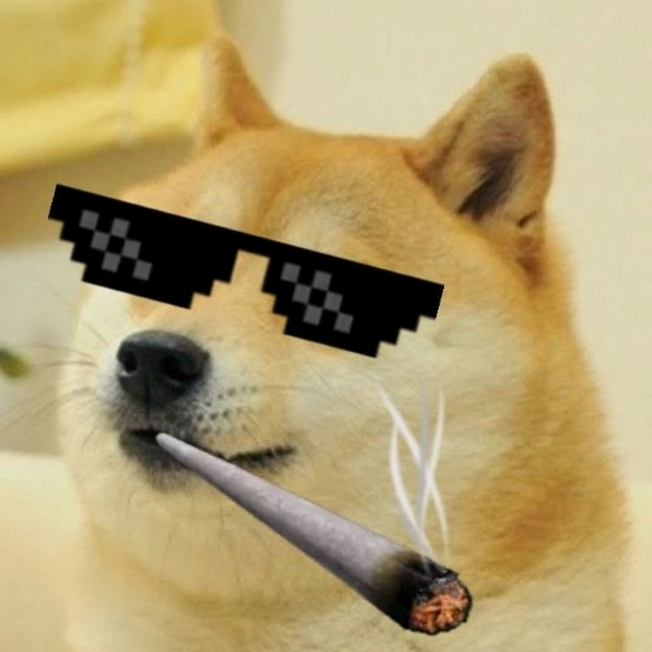 meme shiba (3)